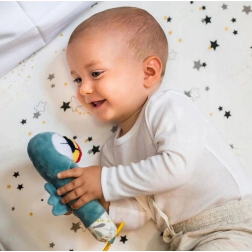 BabyOno Edukačná hračka s pískatkom a hryzátkom Tukan