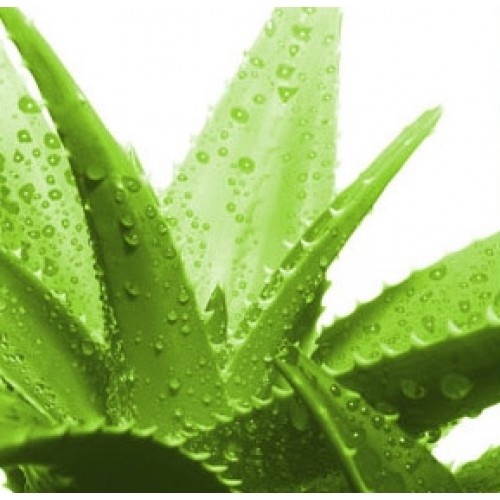 Baby Nellys Detská matrac ALOE DE LUX Kokos / pena / kokos