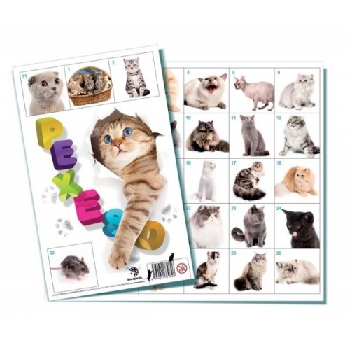 Teddies Pexeso Mačky spoločenská hra 32 obrázkových dvojíc